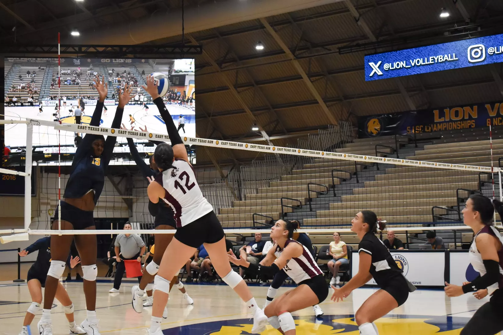 Carlota Mora spikes a ball.