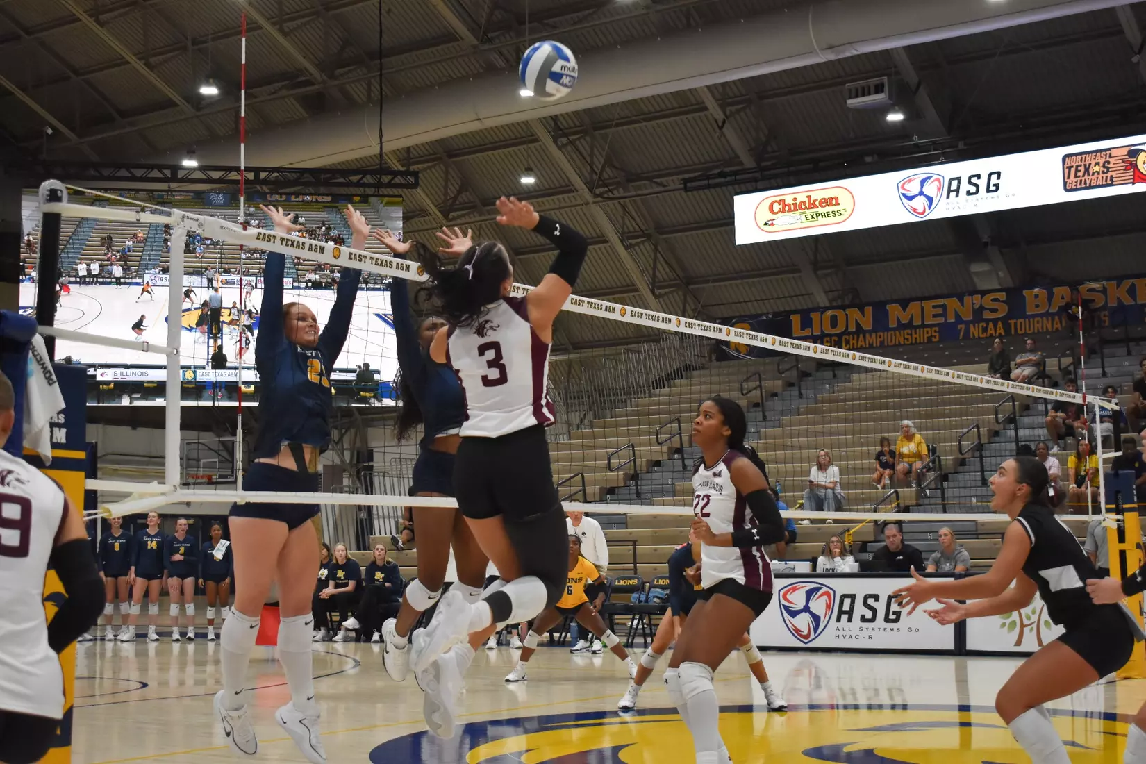 McKenzie Moeller goes up for an attack.