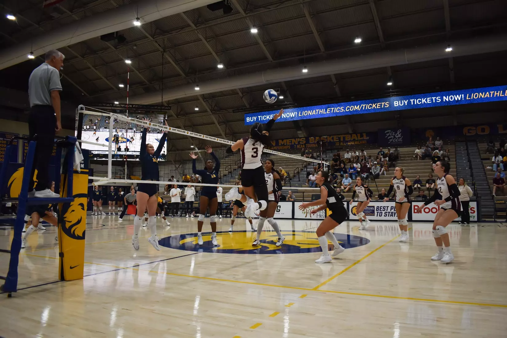 McKenzie Moeller goes up for an attack.