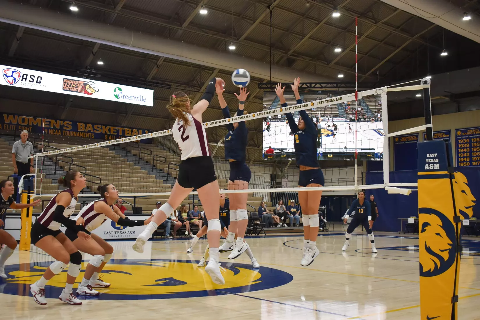 Natalie Vance smashes a ball through the blocker's arms.