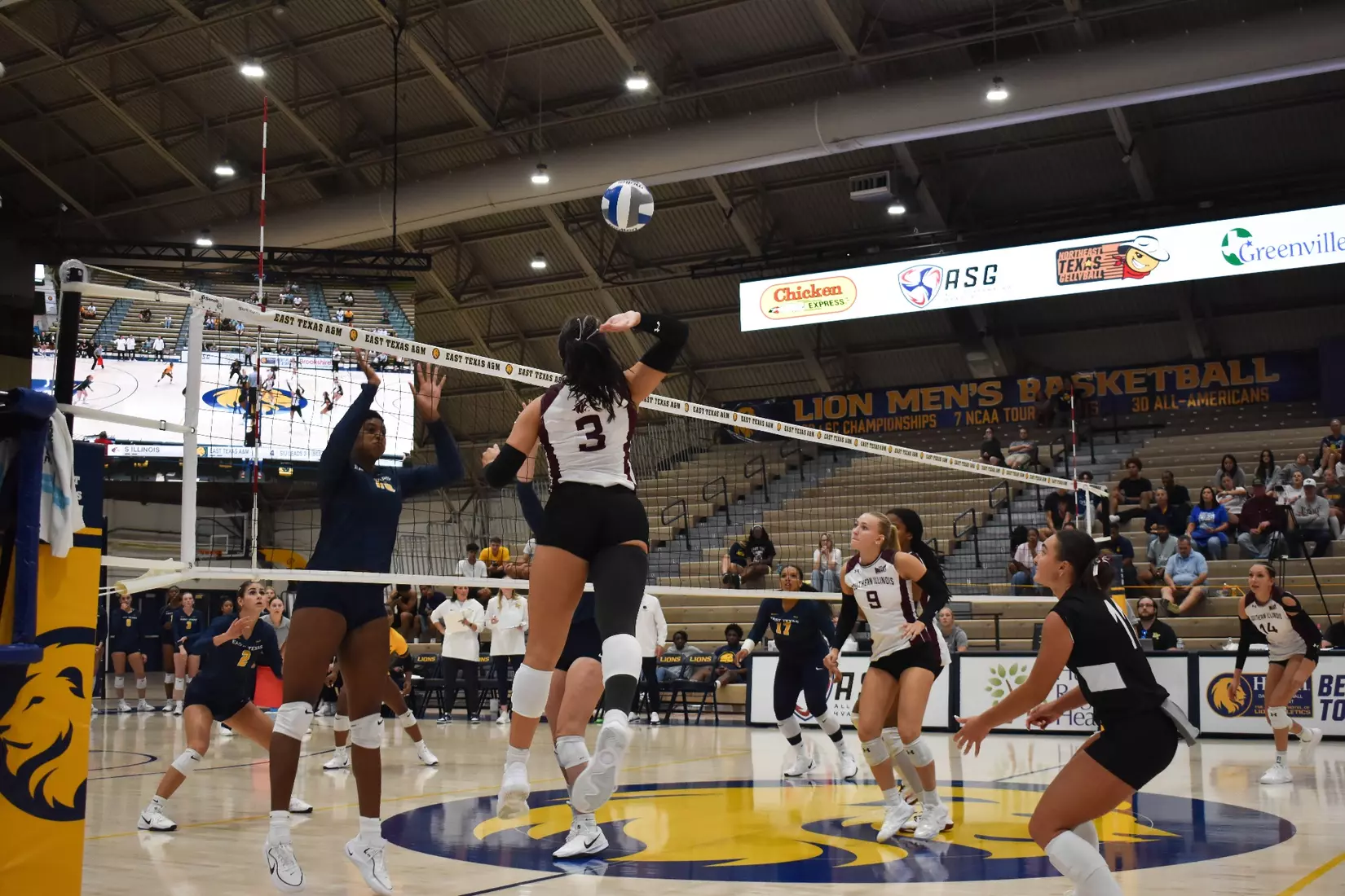 McKenzie Moeller swings her arm back for an attack.