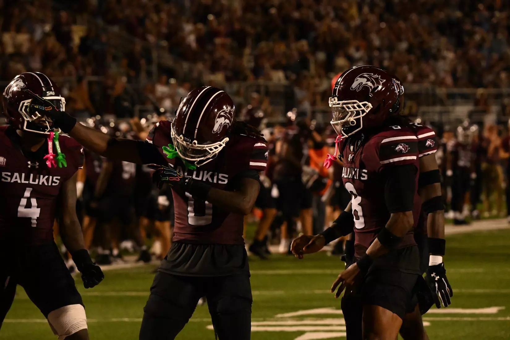Salukis celebrate
