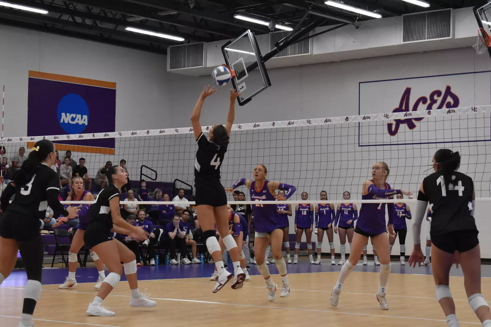Ella McFarland sets a ball in the match.