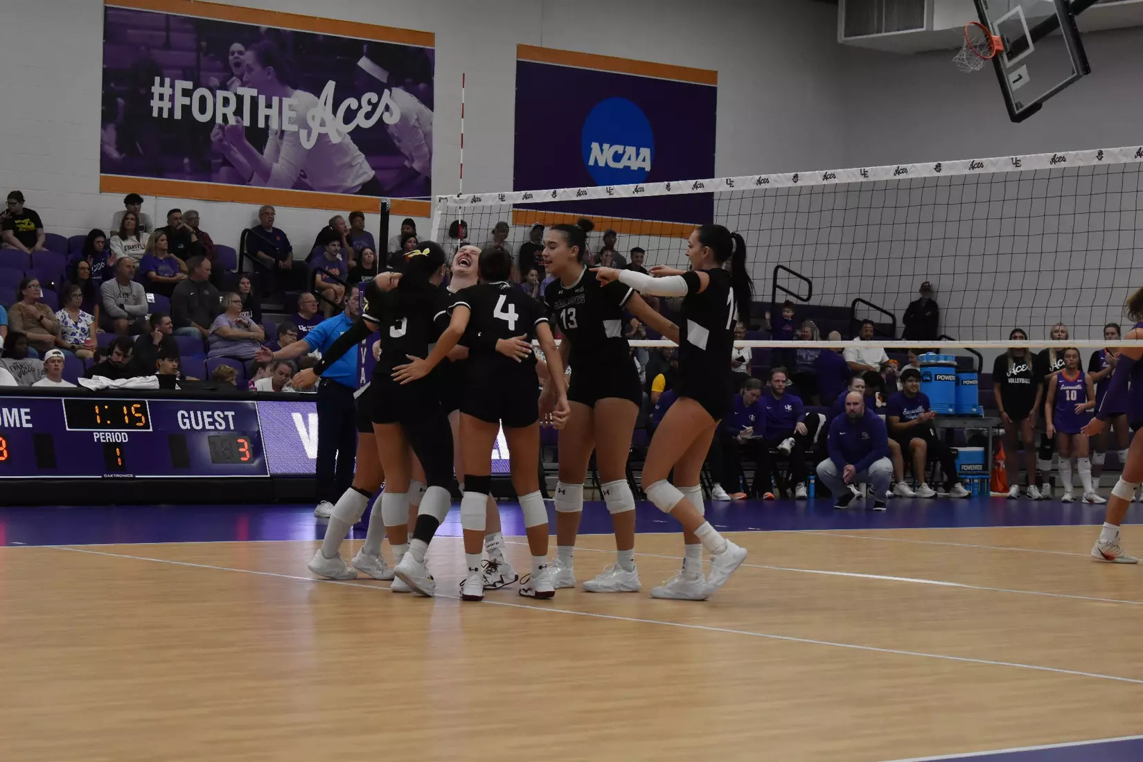 The team celebrates after a point.