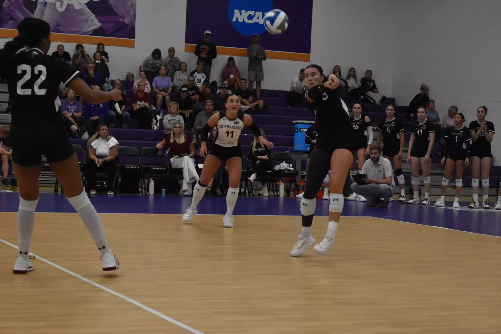 McKenzie Moeller receives a serve.