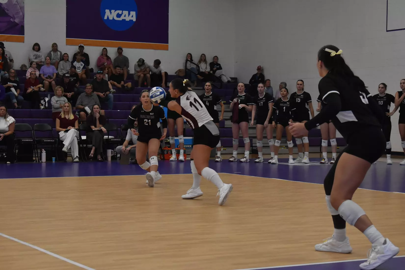 Jillian Shaneyfelt receives a serve.