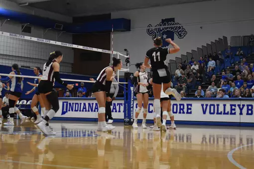 The team celebrates after a point.