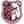 Alabama A&M