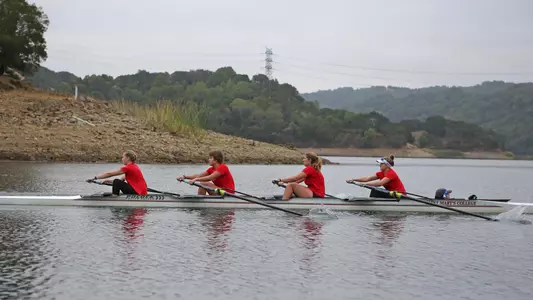 ROW 2019