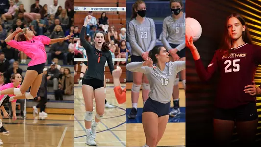 VB NLIs 2020