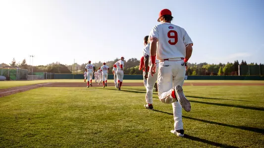 baseball generic updated