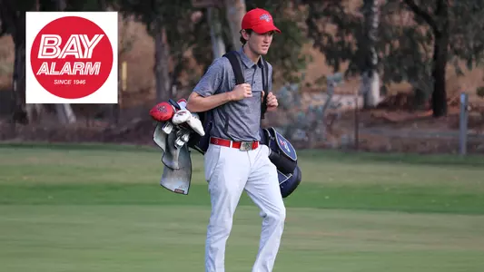 Hathcoat Bay Alarm SAOTW