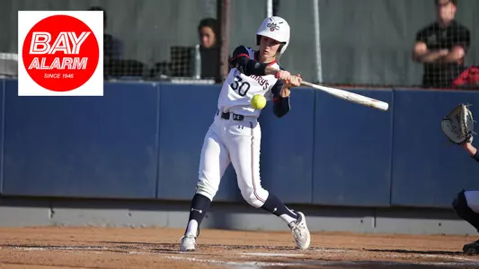 Smith Bay Alarm SAOTW