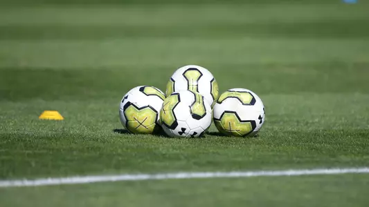 Generic soccer balls