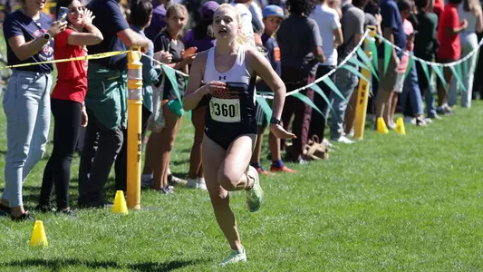 rowlinson at usf