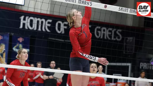 Harrer for SAOTW 11-21-22