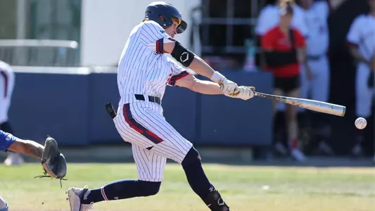 Nager swing from behind