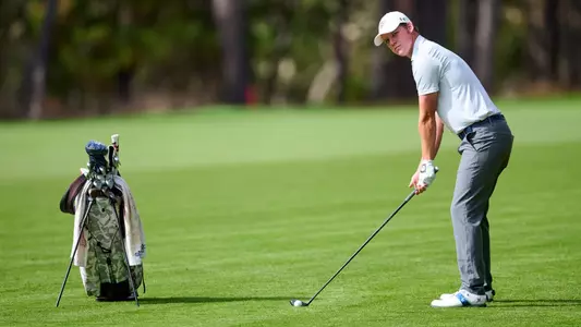 Slesinski fairway about to swing