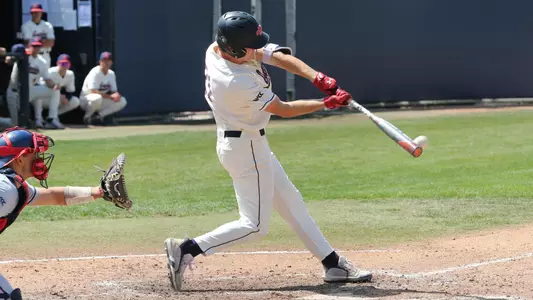 Coleman Schmidt swing
