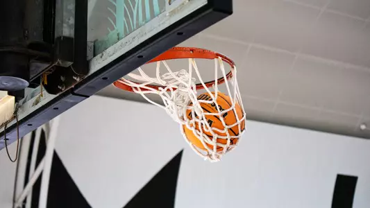 Generic Basketball in Hoop