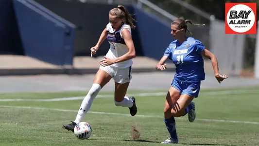 Salvestrin Bay Alarm Winner