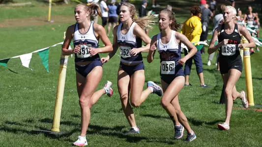 Field, Frih, Ingram at USF
