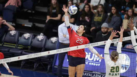 Castillon Swing vs USF