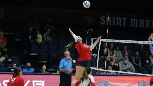 Clarissa Klein Swing vs USD