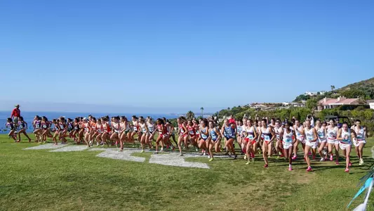 WCC Start