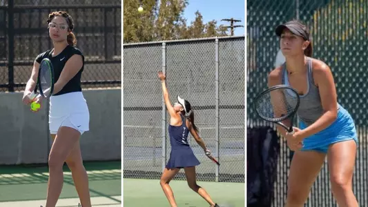 Ruja, Daryaie, Daries