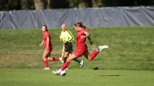 salvestrin in full kick