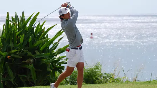 Mitchell Hoey Swing