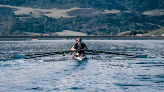 rowers in action