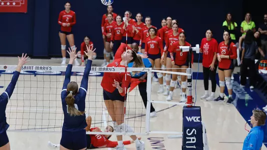 Clarissa Klein Swing vs USD