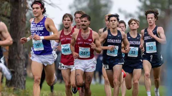 Zane, Divan and Oisin at WCCs