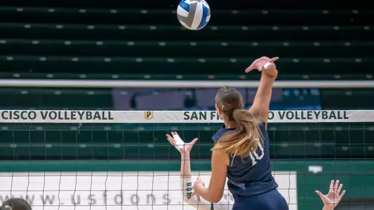 Ava Galvan Swing at USF