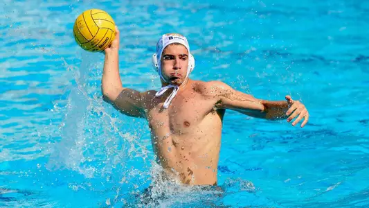 Rocco Di Rosa Release 2026