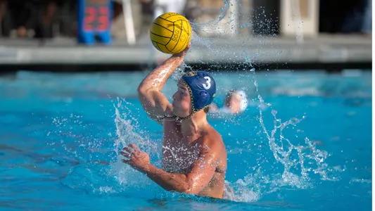 Stryder Stelck Release 2026