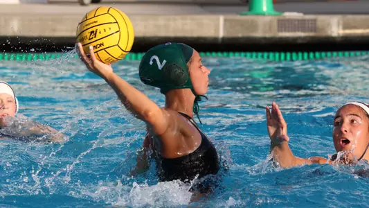 Olivia Sanchez Release 2026