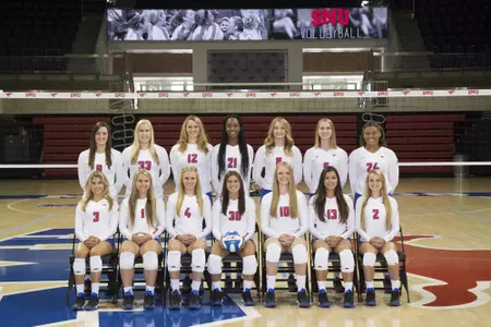 2016 VB Team