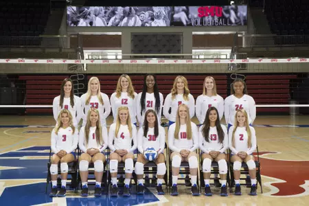 2016 VB Team
