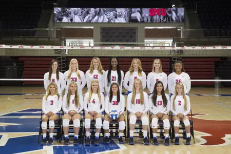 2016 VB Team