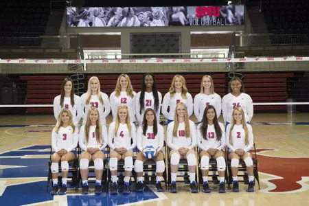 2016 VB Team