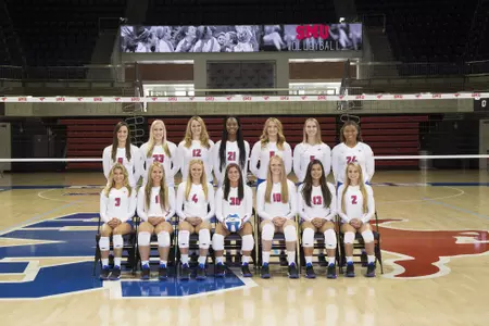 2016 VB Team