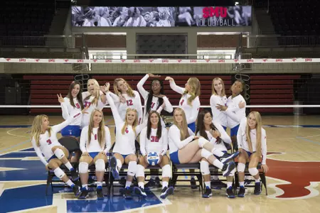 2016 VB Team