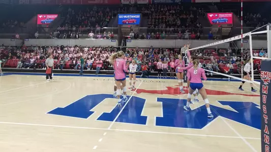 VB Pink Photo