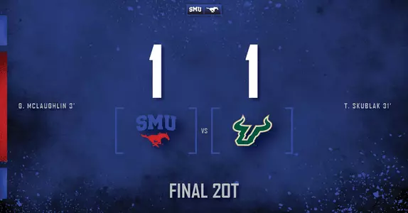 USF FINAL