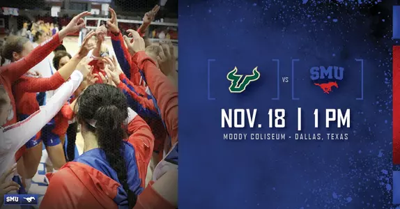 USF Preview