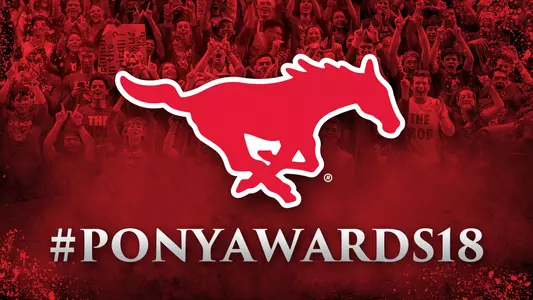 PonyAwards