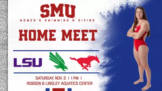 WSD_UNT-LSU